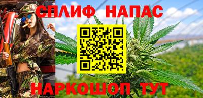 стаф Бузулук