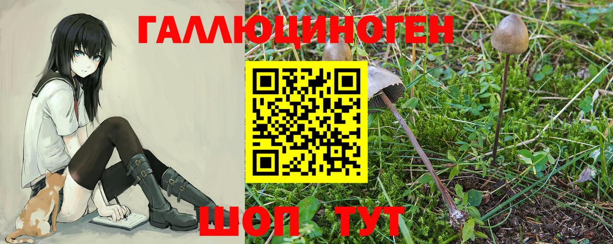 Галлюциногенные грибы ЛСД Котельники