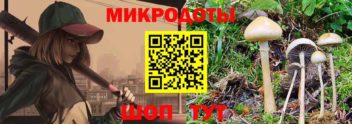 Галлюциногенные грибы Magic Shrooms  купить закладку  Котельники  Вход с VPN  Псилоцибиновые грибы Psilocybe 